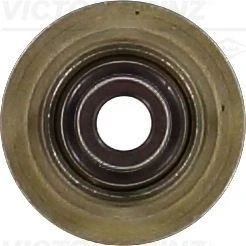Afbeelding van Reinz Klepsteeldichting 70 10238 00