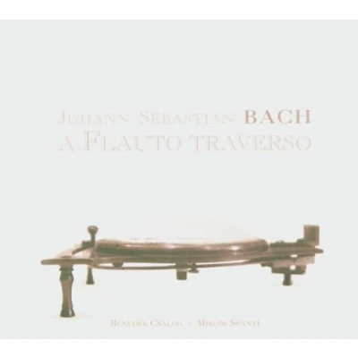 Afbeelding van Csalog, Benedeg+Miklós Spányi Sonates Flute(4) (CD)