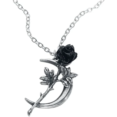 Afbeelding van Alchemy Gothic New Romance Halsketting zilverkleurig Staal