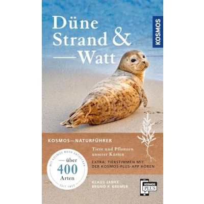 Afbeelding van Düne, Strand und Watt
