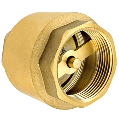 Afbeelding van SHYNE Premium 1 Inch Terugslagklep van Hoogwaardig Messing, Robuust, Roestvrij en Waterdicht voor Pompen, Put, Wasmachines, Tuinen, Regentonnen, Vat (2 Stukken)
