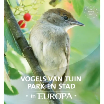 Afbeelding van Vogels van tuin, park en stad in Europa (Hardback)