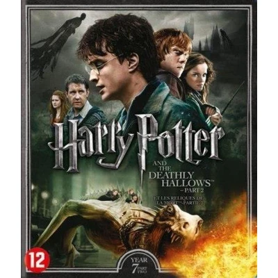Afbeelding van Harry Potter Year 7 The Deathly Hallows Part 2 (Blu ray)