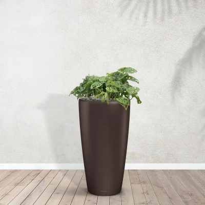 Afbeelding van Combideal Monstera Monkey Leaf inclusief zelfwaterende pot Angel Espresso M 90cm