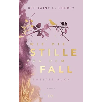 Afbeelding van Wie die Stille vor dem Fall. Zweites Buch: Special Edition: 2.2