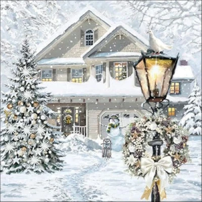 Afbeelding van 20 servetten winter winterhuis als tafeldecoratie. Papieren met motief. Ook voor decoupage en servettentechniek 33x33cm