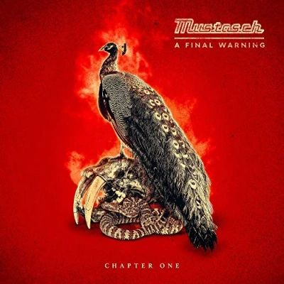 Afbeelding van Mustasch A Final Warning Chapter One