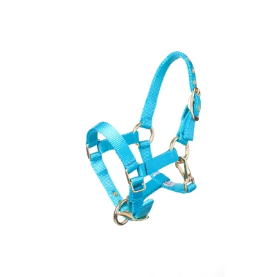 Afbeelding van MHS Halster Fancy Aqua Jaarling