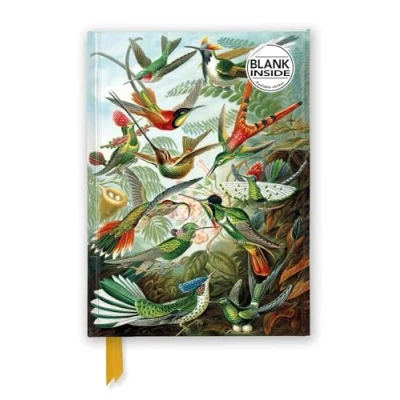 Afbeelding van Flame Tree Blank Notebooks Ernst Haeckel: Hummingbirds (Foiled Journal)