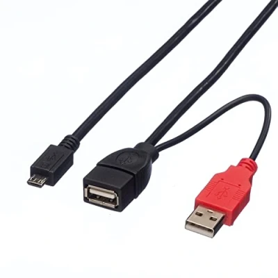 Afbeelding van ROLINE USB 2.0 Y kabel, 2x Type A (M/F) Micro B M, 1m