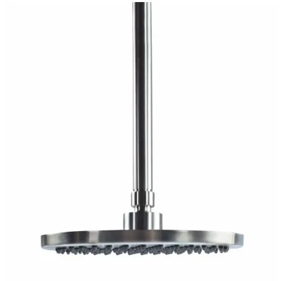 Afbeelding van Waterevolution Flow hoofddouche 250mm met plafondaansluiting volledig RVS