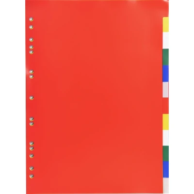 Afbeelding van Exacompta tabbladen voor ft A4, uit PP 12/100e, 12 tabs, geassorteerde kleuren 50 stuks