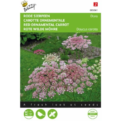 Afbeelding van Daucus carota, Rode sierpeen Dara