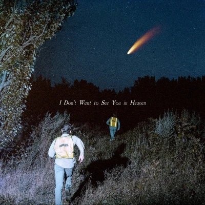 Afbeelding van Callous Daoboys I Don&#039;t Want To See You In Heaven (2 LPs)