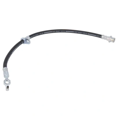 Afbeelding van Delphi Diesel Remslang LH6777