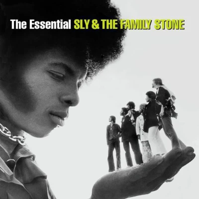 Afbeelding van Essential Sly &amp; The Family Stone