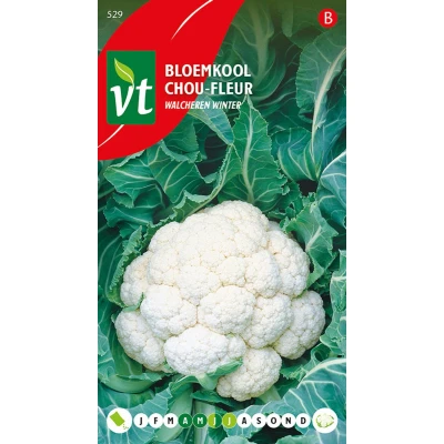 Afbeelding van Bloemkool Walcheren Winter Zaden Mooie en Witte Winterbloemkool van