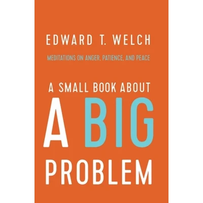 Afbeelding van a Small Book about Big Problem
