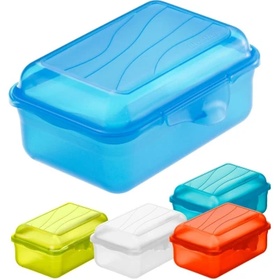 Afbeelding van Rotho Fun Lunchbox 0.4L Transparant