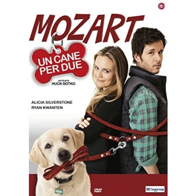 Afbeelding van CG Entertainment Who Gets the Dog? DVD Engels, Italiaans