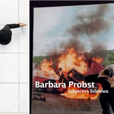 Afbeelding van Barbara Probst: Subjective Evidence