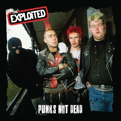 Afbeelding van Punk&#039;s Not Dead