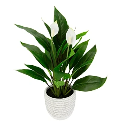 Afbeelding van I.GE.A. Kunstplant Spathiphyllum (1 stuk)