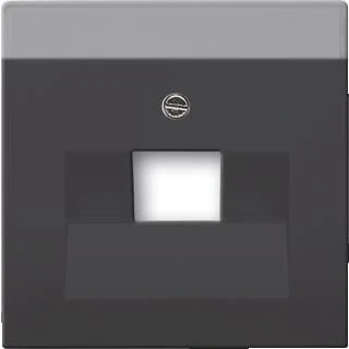 Afbeelding van Busch Jaeger mat zwarte centraalplaat voor datadoos 1 x RJ45 1803 885