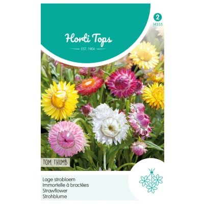 Afbeelding van Helichrysum, lage Strobloem Tom Thumb