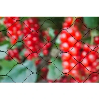 Afbeelding van Nature Tuinnet Primo Zwart Kweekbenodigdheden 6.5x200x1000 cm