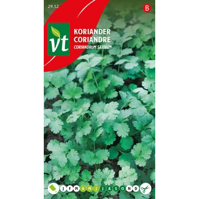 Afbeelding van Koriander Coriandrum sativum Kruiden in pot, bloembak of volle grond.