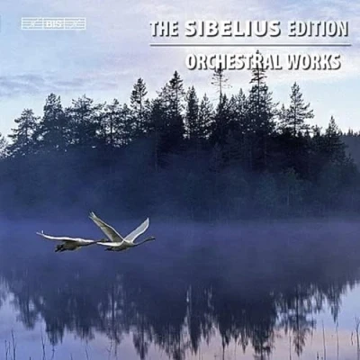 Afbeelding van Gothenburg Symphony Orchestra &amp; Lahti Sibelius: The Sibelius Edition Volume 8 (6 CD)