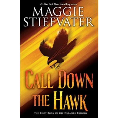 Afbeelding van Call Down the Hawk (the Dreamer Trilogy, Book 1): Volume 1