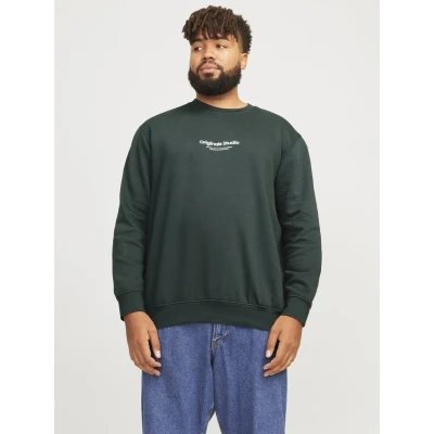 Afbeelding van Jack &amp; Jones Jorvesterbro CREW NECK Sweater, Heren, Maat: 5XL, Forest river