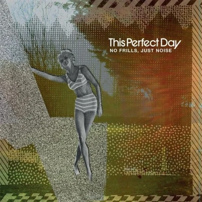 Afbeelding van This Perfect Day No Frills, Just Noise (LP)