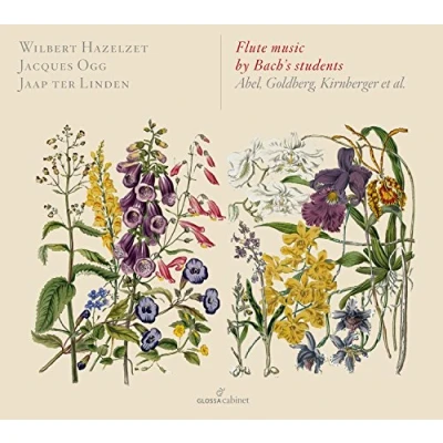 Afbeelding van Wilbert Hazelzet, Jaap Ter Linden, Kl &amp; Jaques Ogg Flute Music By Bach&#039;s Students (CD)
