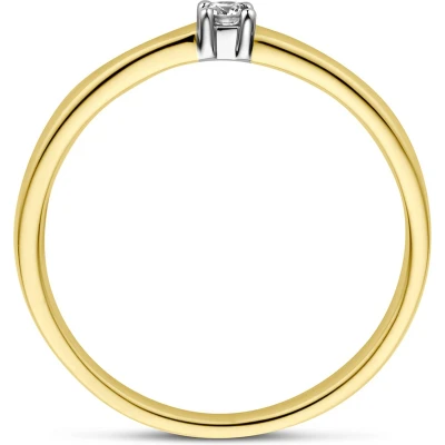 Afbeelding van Bicolor Gouden Ring diamant 0.05ct H SI 4208631 16.50 mm (52)