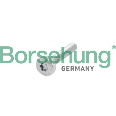 Afbeelding van Borsehung B10634 Schroef, tandwiel, nokkenas