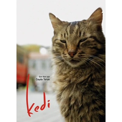 Afbeelding van Kedi (DVD) (Import geen NL ondertiteling)