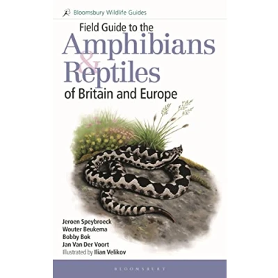 Afbeelding van Field Guide to the Amphibians and Reptiles of Britain Europe