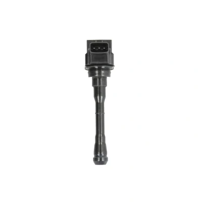 Afbeelding van Delphi Diesel Bobine GN10614 12B1