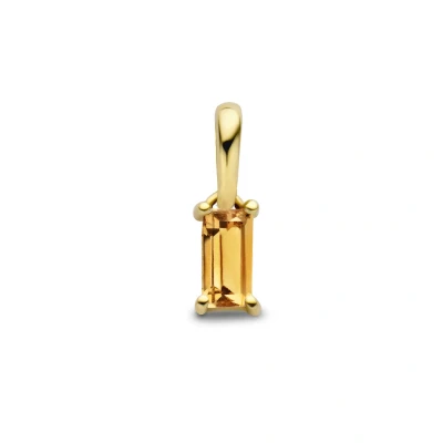Afbeelding van 14K geelgoud hanger met geboortesteen 4027204
