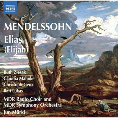 Afbeelding van Leipzig Mdr Radio Choir &amp; Symphony Elijah (2 CD)