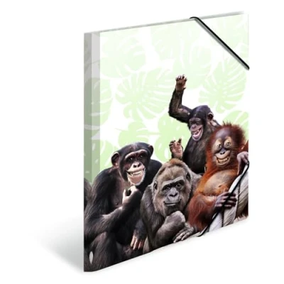 Afbeelding van HERMA Monkey gang, Conventionele hechtmap, A3, Polypropyleen (PP), Meerkleurig, Elastische band, 335 mm