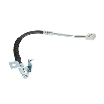 Afbeelding van Delphi Diesel Remslang LH6579