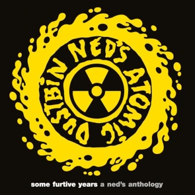 Afbeelding van Ned&#039;s Atomic Dustbin Some Furtive Years A Anthology (LP)