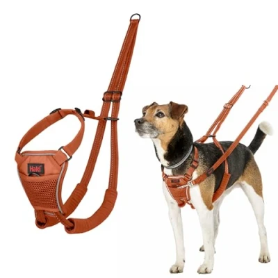 Afbeelding van HALTI No Pull Hondentuig Om te voorkomen dat uw hond aan de lijn trekt. Verstelbaar en Reflecterend hondentrainingsharnas voor speelgoed kleine honden (Maat XS, Verbrande Sinaasappel)