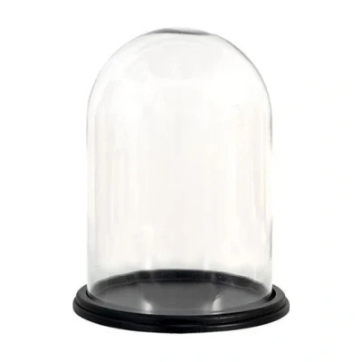 Afbeelding van Clayre &amp; Eef Transparente Stolp Ø 23*29 cm 6GL3477