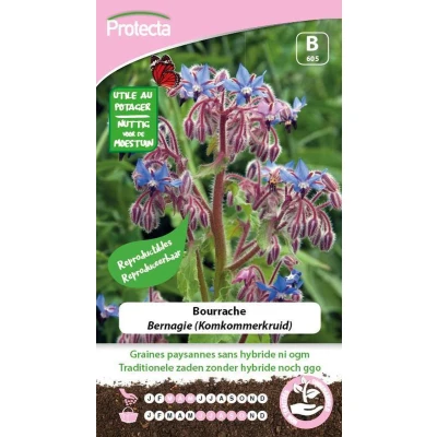 Afbeelding van Protecta Groente Zaden Bernagie Komkommerkruid