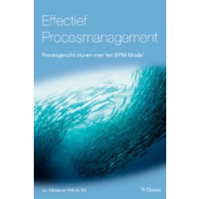 Afbeelding van Effectief procesmanagement